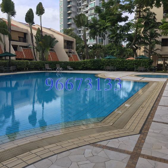 Allsworth Park (D10), Condominium #149359892